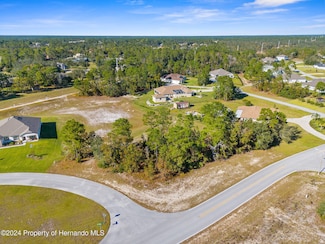 0 Hawkeye Loop Unit 2250203, Weeki Wachee, FL 34613