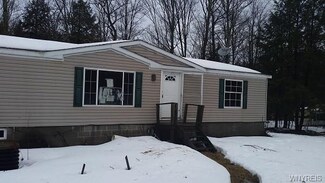 10596 Rock Springs Rd, West Valley, NY 14171