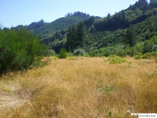 16420 Alsea Hwy, Alsea, OR 97324