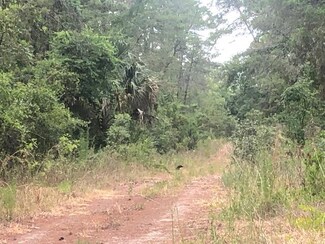 Lot 5 NE 236th Ln, Ft. McCoy, FL 32134