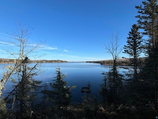 XXX1 Powerhouse Trail, Ely, MN 55731