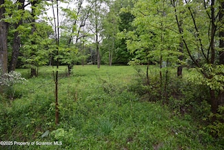 65 Reagan Rd, Montrose, PA 18801