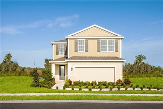 19051 Pebble Wood Ln, Spring Hill, FL 34610