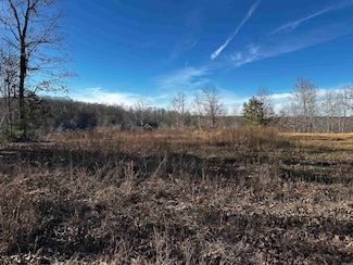 000 Heulan Way, Mountain View, AR 72560