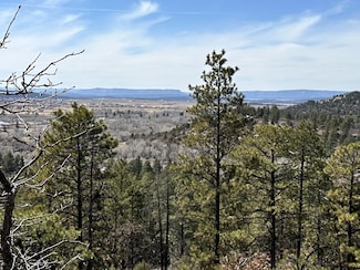 3 Forks, Chama, NM 87520
