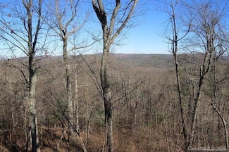212 W Chestnut Ridges Rd, Hendersonville, NC 28718