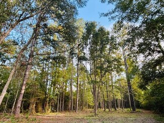 10.34 Acres E Moran Lot A-1 Rd, Pearl River, LA 70452