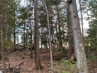 0 Michigan Trail Unit 1915025, Kewadin, MI 49648
