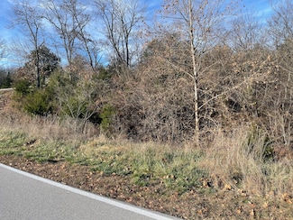 Lot 206 Black Forest Ln, Branson West, MO 65737