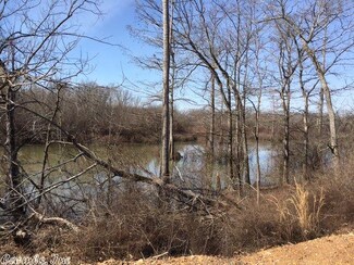 14338 Leisure Acres Rd, Des Arc, AR 72040
