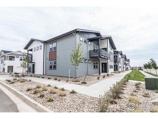 2120 Falling Leaf Dr Unit 3, Windsor, CO 80550