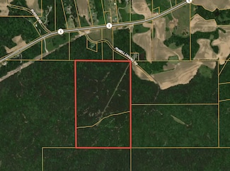 0 Powell Chapel Rd, Holly Springs, MS 38635