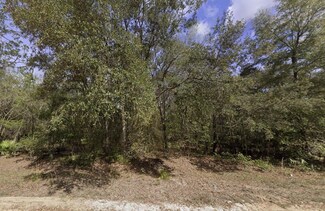 Tbd Beaven St, Interlachen, FL 32148
