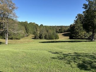 0 Sparkmantown Rd Unit RTC2931549, Doyle, TN 38559