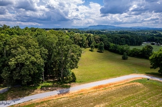 0 Huntleigh Ct Unit 1308944, Kodak, TN 37764