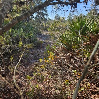 0 Sugarfoot Ave Unit MFRTB8351518, Lake Wales, FL 33859