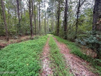 0 Red Tip Ln, Union, NC 28478