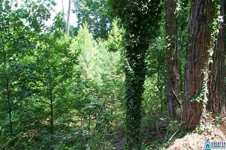 0 Lakeside Ln Unit 26 755243, Delta, AL 36258