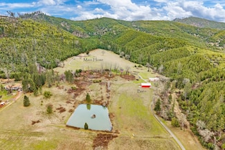 3220 Deer Creek Rd, Selma, OR 97538