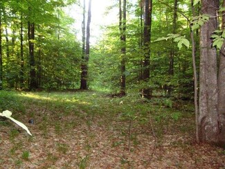 1303 NW Woodsborough Dr, Alden, MI 49612