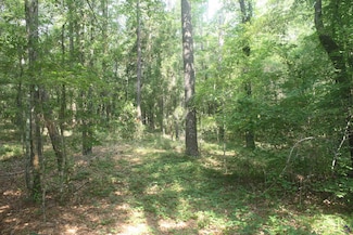 176 Seagull Rd, Cochran, GA 31014