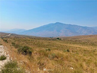 0 Xxx Bill Shaw Rd Unit NWM1740588, Pateros, WA 98846
