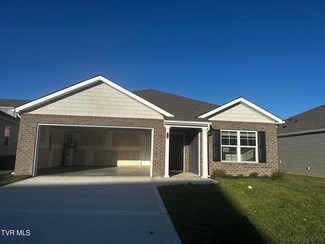 1044 Persimmon Hollow, Greeneville, TN 37745