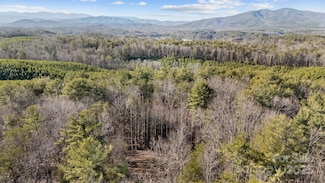 517 Old Wildlife Club Dr, Nebo, NC 28761