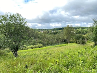 TBD N Fourteenth Unit block 17 lot 1 and 2, Iron River, MI 49935