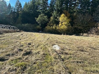 1200 McMullen Creek Rd, Selma, OR 97538