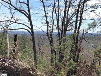 00 Stone Terrace Way Unit S54, Salem, SC 29676