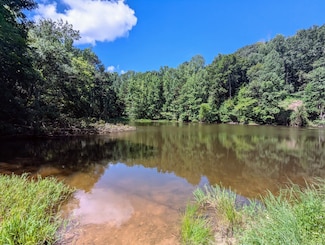 5694 Ladd Springs Rd, Old Fort, TN 37362