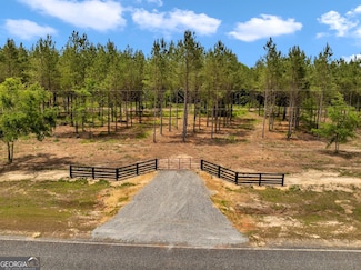 0 Dewey Thomas Rd Unit LOT 4 10305567, Dexter, GA 31019