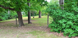 14543 Louhi Ave, Kaleva Vlg, MI 49645