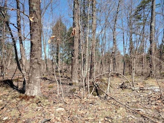 TBD Black Creek (West) Rd, Skanee, MI 49962