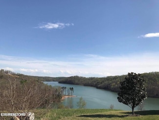 0 Pinnacle Ln Unit 1287941, Lafollette, TN 37766