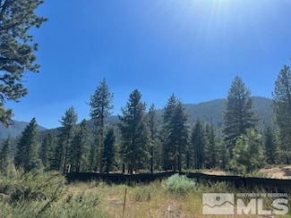 3582 Knob Point Trail, Carson City, NV 89705