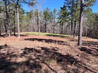 2296 Williams Rd, Thomson, GA 30824