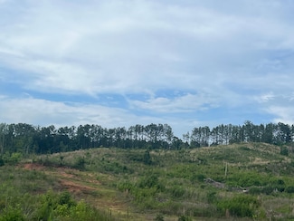 0 U S Highway 82 Unit 20511369, Centreville, AL 35042