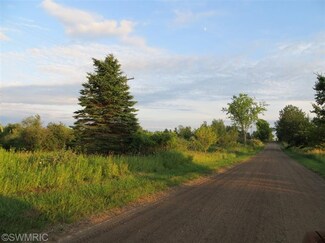 4330 N Larson Rd, Fountain, MI 49410