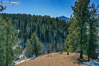 456 Idlewood, Cripple Creek, CO 80813