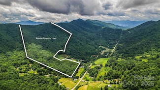 99999 Dark Cove Rd, Leicester, NC 28748