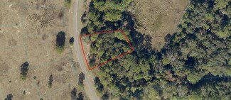 Lot 6 Maple Lane Run Rd, Ocklawaha, FL 32179