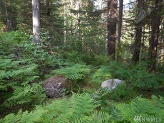 0 Cascade River Rd Unit 1133596, Marblemount, WA 98267
