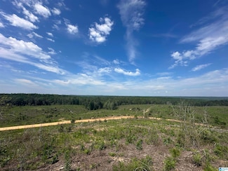 0 County Road 305 Unit 1 21423953, Maplesville, AL 36750