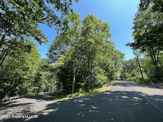 0 Brown Manor Lots, Dallas, PA 18612