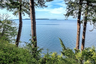 673 Raccoon Point Rd, Eastsound, WA 98245