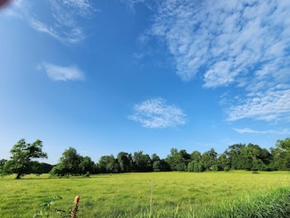 998 Spring Bayou Rd, Marksville, LA 71351