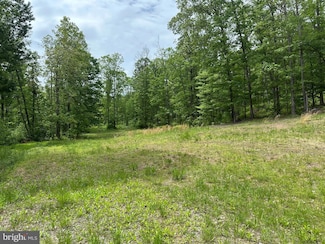 389.2 ACRES Woodmont Rd, Great Cacapon, WV 25422
