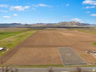 7985 N 2400 W, Amalga, UT 84335